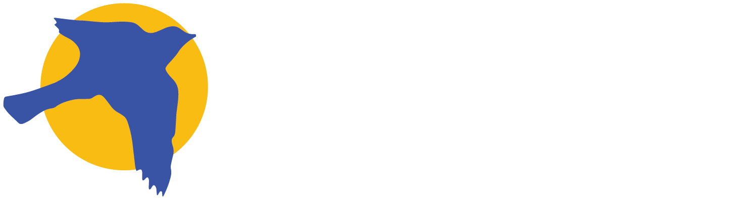 Blue Bird — 24 hour cabs & mini bus service